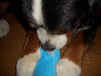 c0143711_1223453.gif