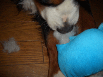 c0143711_1224459.gif