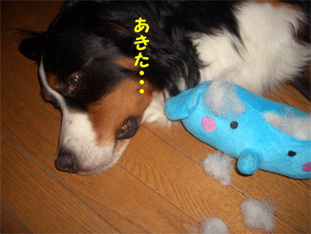 c0143711_1225471.gif