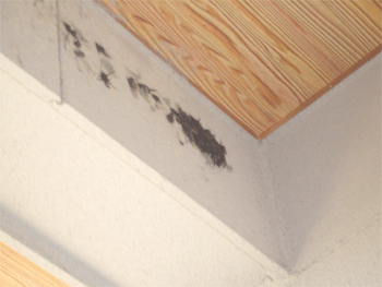 c0143711_16482174.gif