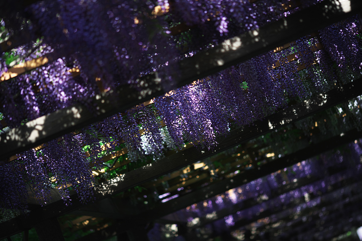 c0115616_19525887.jpg