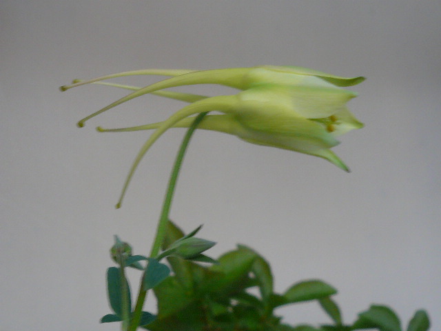e0026017_16275649.jpg