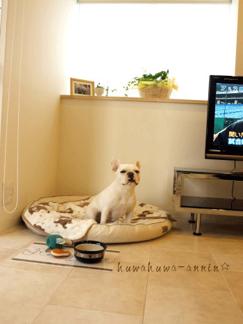f0155120_1272259.gif