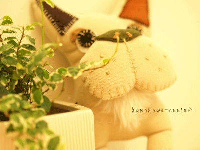 f0155120_1295665.gif