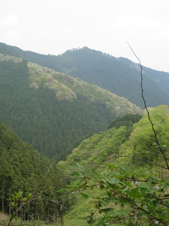 d0130927_21471794.jpg