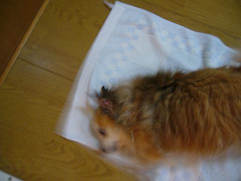 b0138430_14183738.jpg