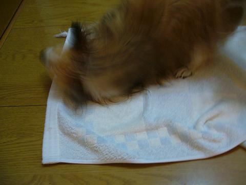 b0138430_14185831.jpg