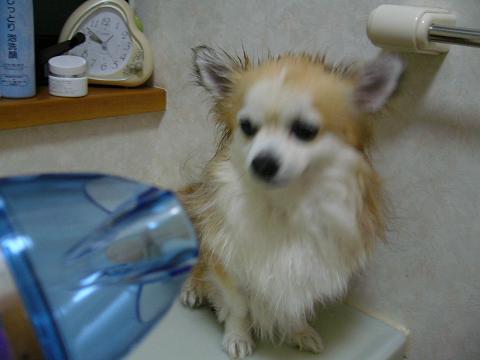 b0138430_14262543.jpg