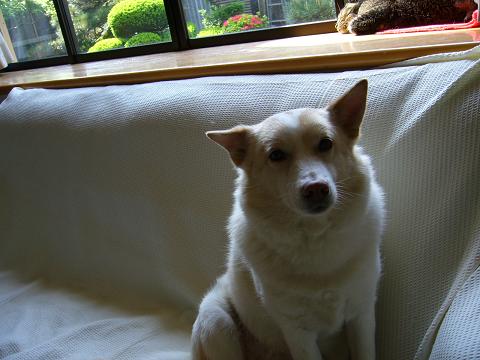 b0138430_14281541.jpg