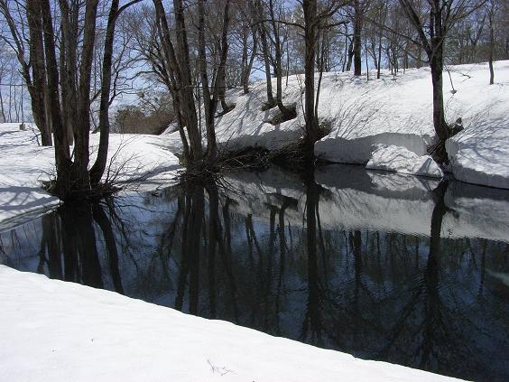 f0118332_2216321.jpg