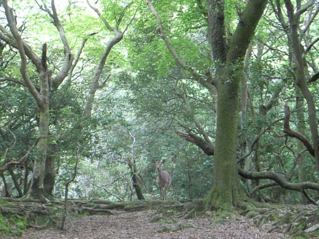 d0105133_2139285.jpg