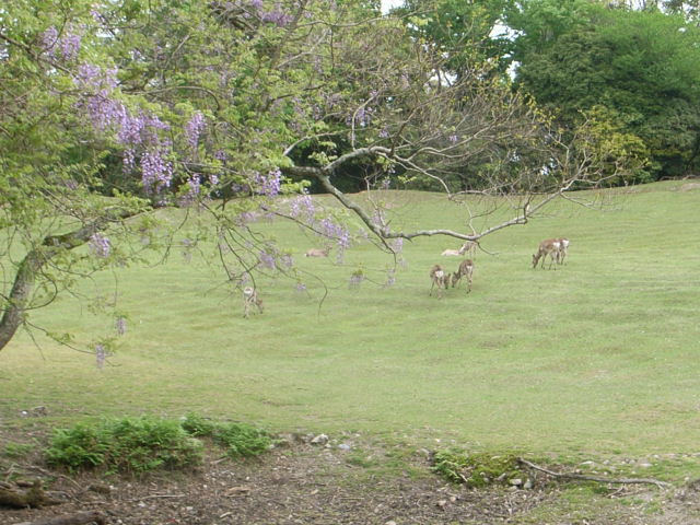 d0105133_21443113.jpg