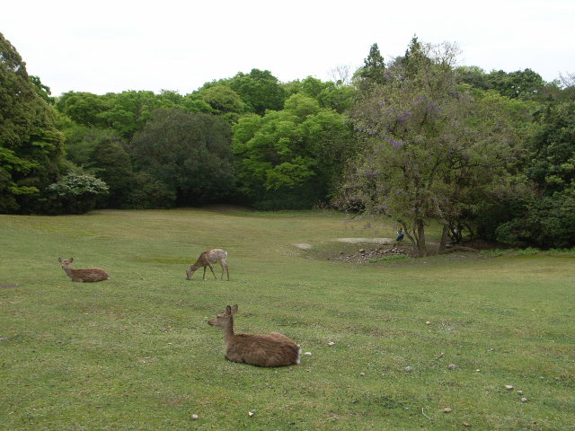 d0105133_2145064.jpg