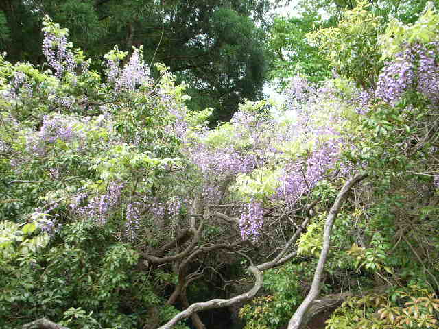 d0105133_21465027.jpg