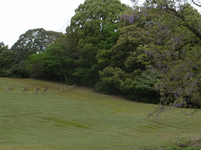 d0105133_2221520.jpg