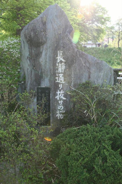 e0064133_2343777.jpg