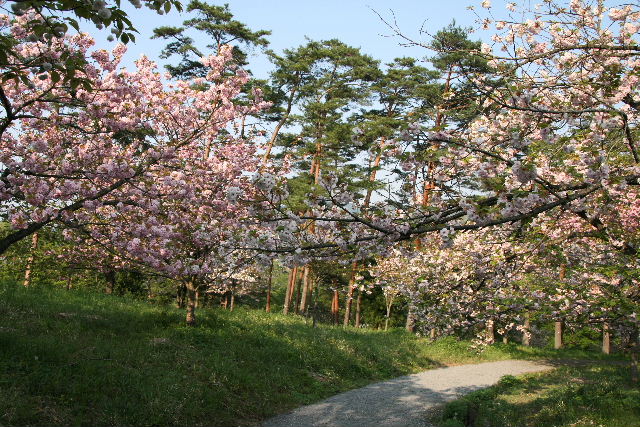 e0064133_2384833.jpg