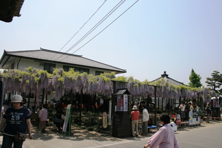f0114938_21432774.jpg