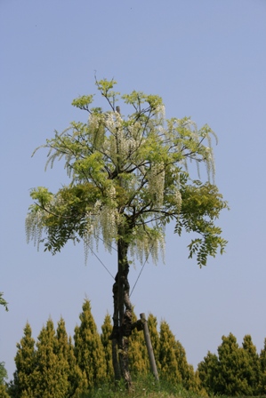 f0114938_2192538.jpg