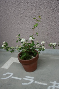 f0114938_23593456.jpg