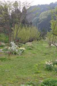 b0057839_20215458.jpg