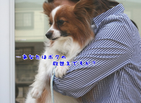 d0013149_1083969.jpg