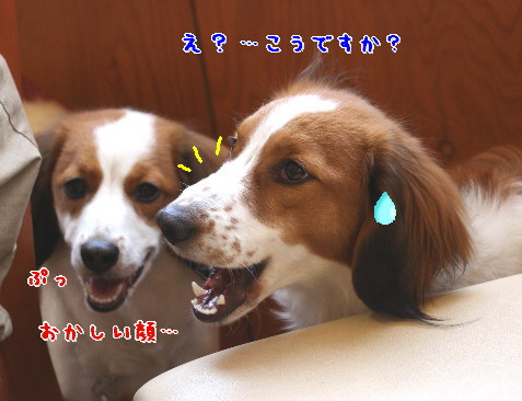 d0013149_111731.jpg