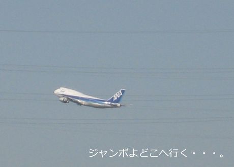 a0090451_1321899.jpg