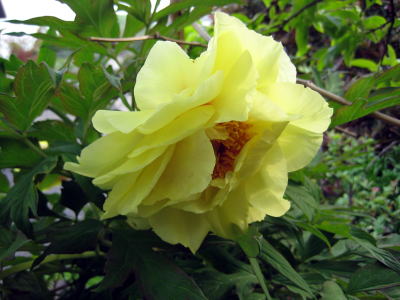 c0147952_21312518.jpg