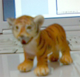f0036354_20425463.jpg