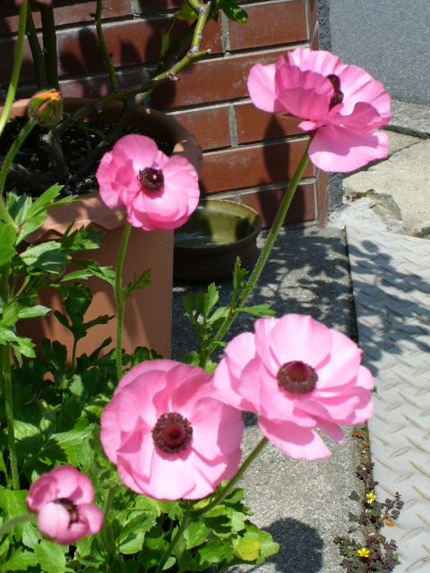 f0074659_23322270.jpg
