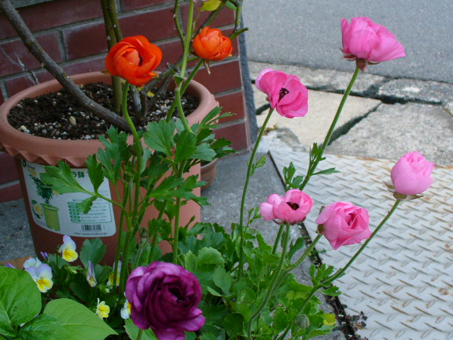 f0074659_23394285.jpg