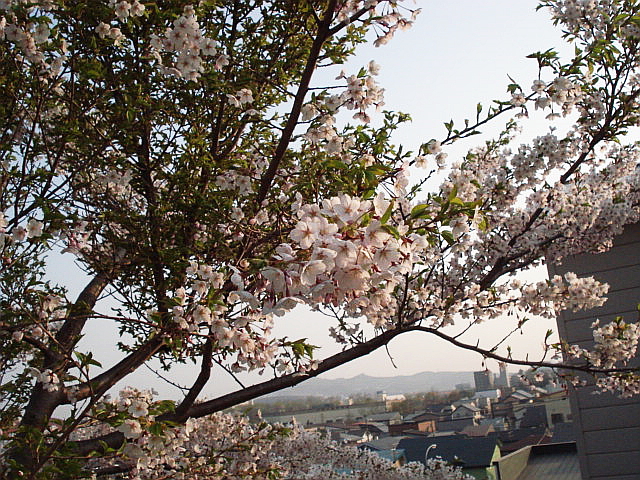 f0132565_10313544.jpg