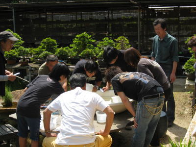 f0160271_1764581.jpg