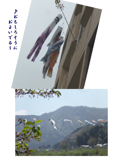 e0085772_22132348.jpg