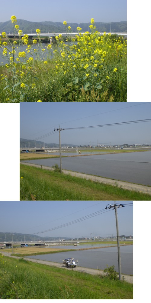 e0085772_2232057.jpg