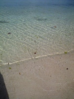 c0139375_11404149.jpg