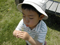 a0091181_194529100.jpg