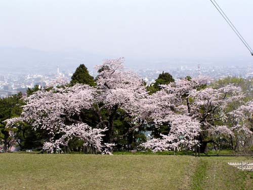 f0092382_994938.jpg