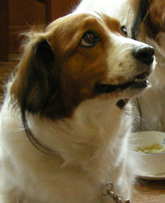 d0001985_3481343.jpg