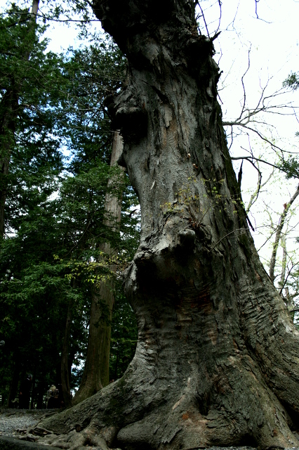 c0103090_2027122.jpg