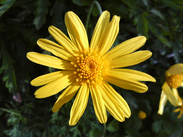 f0018790_18545562.jpg