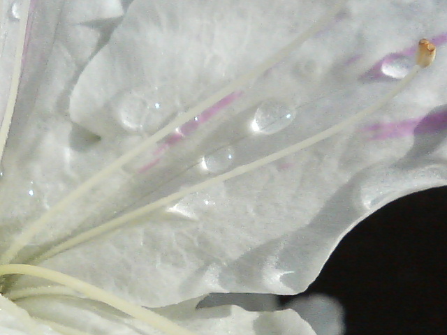f0018790_193019.jpg