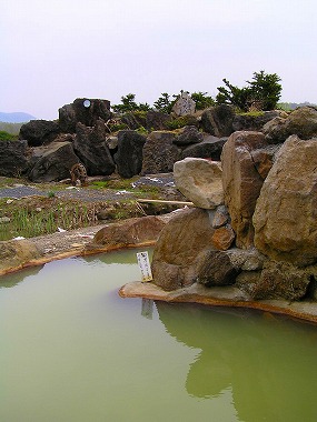 a0067991_11354117.jpg