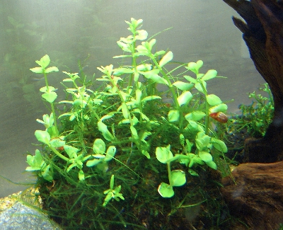 c0074591_0185162.jpg