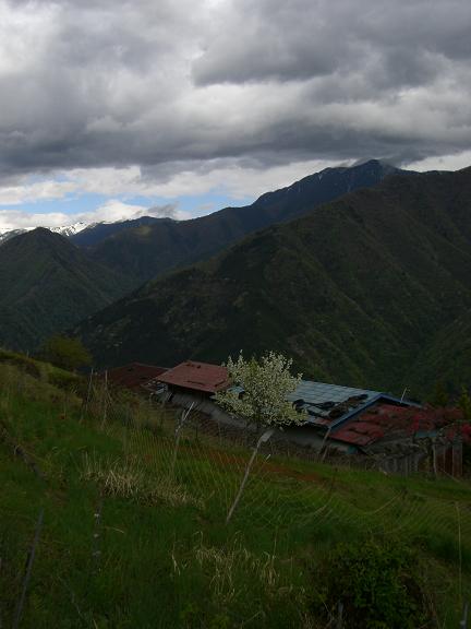 f0068291_23304639.jpg