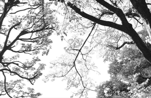 f0018492_22492137.jpg