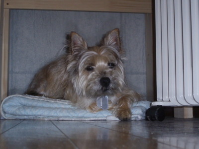 c0086895_0581182.jpg