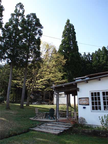 a0061599_8211188.jpg