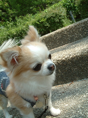 a0079803_0505275.jpg